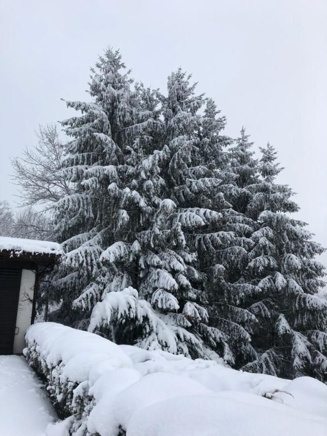 Frühstückspension Porranzl Persenbeug Exterior foto